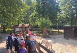 Półkolonie z Projekt Kępno – dzień 3 i 4