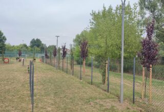 Nowy park zabaw dla psów tuż tuż